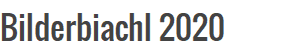 Bilderbiachl 2020
