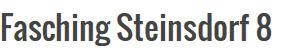 Fasching Steinsdorf 8