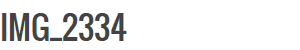 IMG_2334