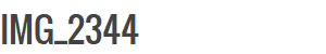 IMG_2344