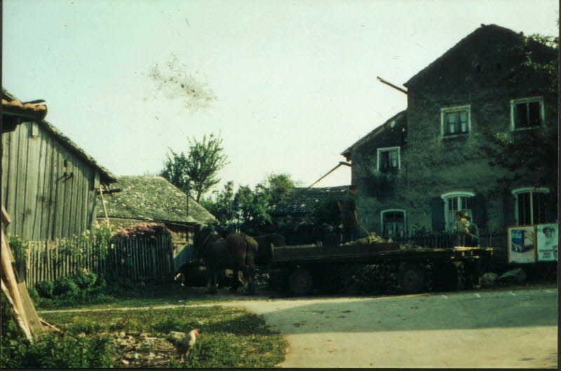 Hengster ( Brunnbauer)