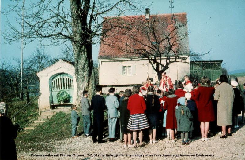 Palmenweihe ( 57-61)